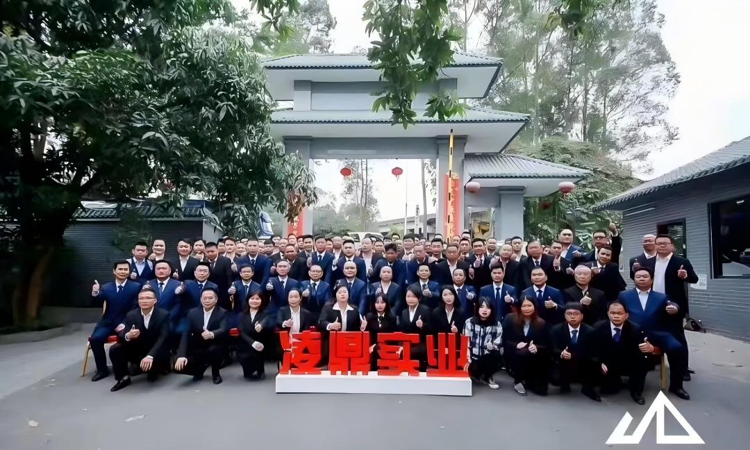 广州|凌鼎|实业|公司